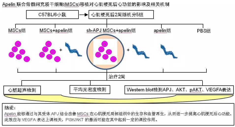 深耕红土地，“兴”火相传耀岩城