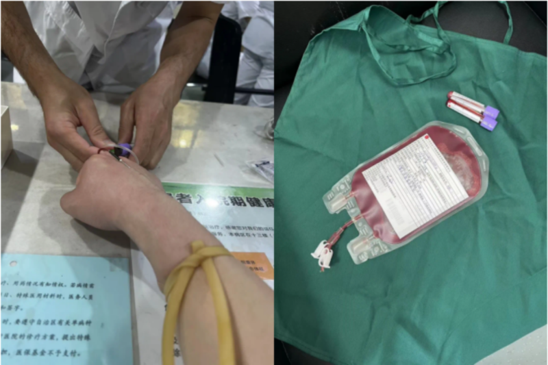 她首次证实：对抗白血病，它有效！