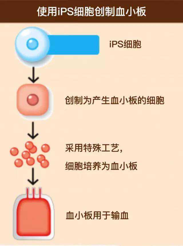 无惧水压变化！为了更安心的淋浴，我升级了这款米家恒温花洒