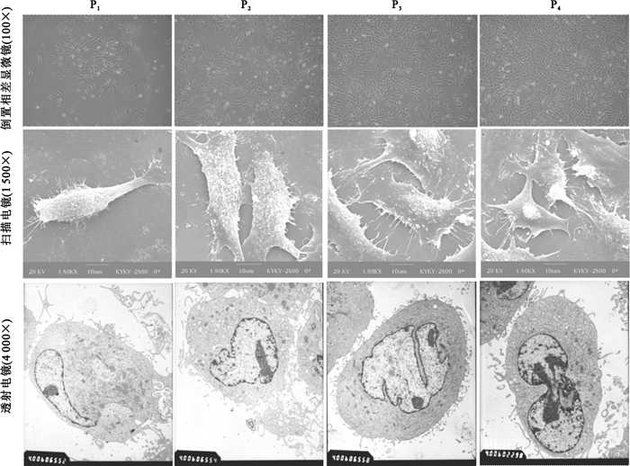 HR+晚期乳腺癌内分泌治疗的现状与展望