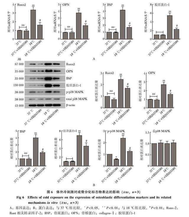 皮肤管理之护肤有要点，做完破皮项目后的注意事项