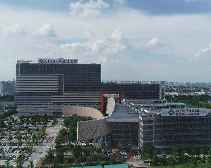 干细胞在免疫系统中的作用及其干预潜力