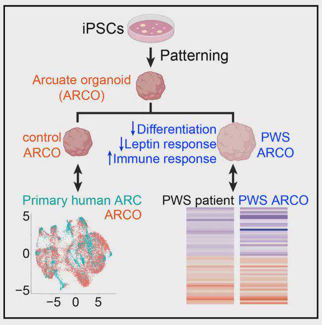 推动“产学研”同频共振 倾力构建一流创新生态