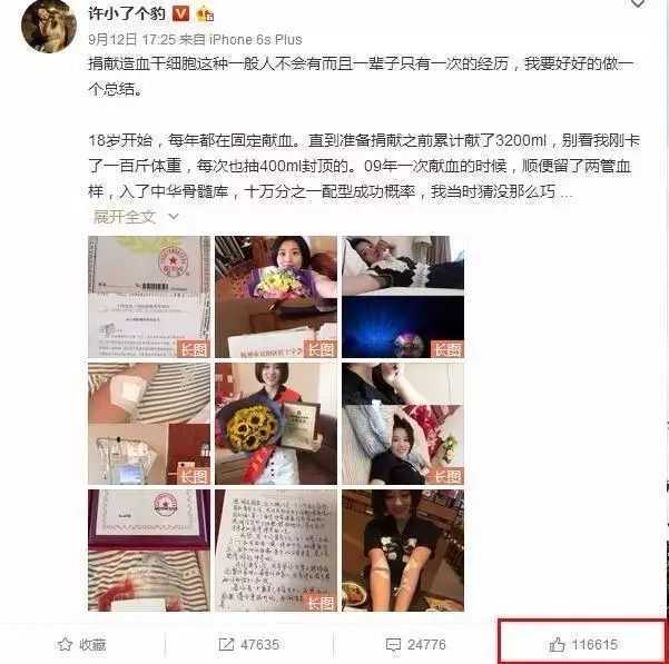 三七的功效与种植